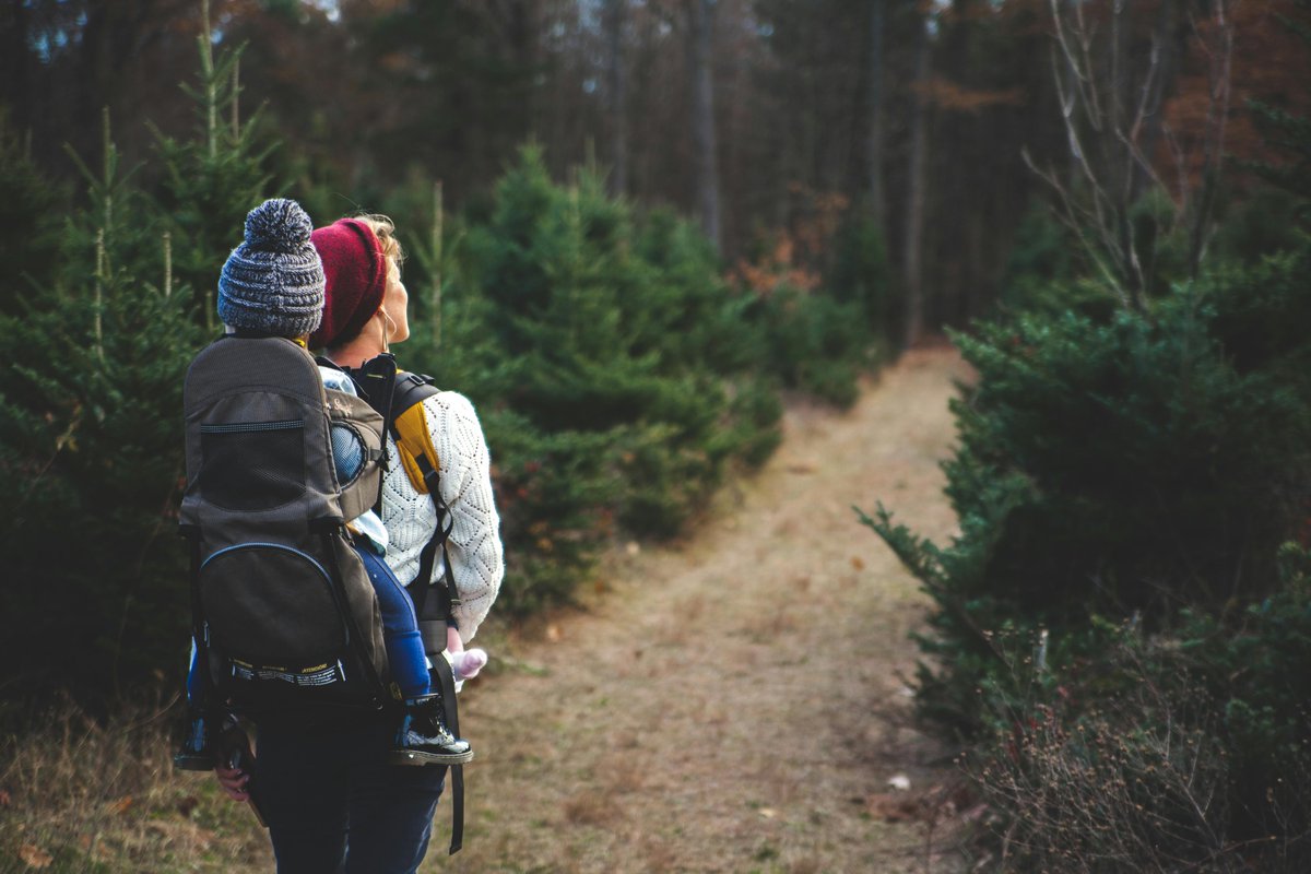 🌲 Take a hike and breathe in the fresh mountain air! 🏞️ Get your gear ready at GoBeyondOutdoors.com #HikingTime #NatureEscape
