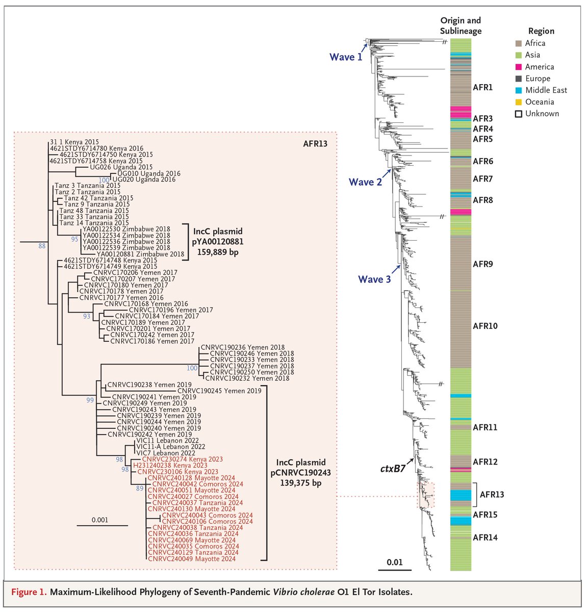 NEJM (@nejm) on Twitter photo Investigators report broad dissemination of a highly drug-resistant Vibrio cholerae O1 El Tor strain across Africa. Read the full correspondence: nej.md/3Zxfwaf Investigators report broad dissemination of a highly drug-resistant Vibrio cholerae O1 El Tor strain across Africa. Read the full correspondence: nej.md/3Zxfwaf