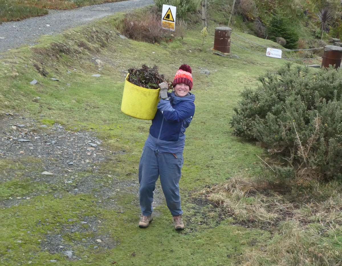 Guernsey Conservation Volunteers tweet media