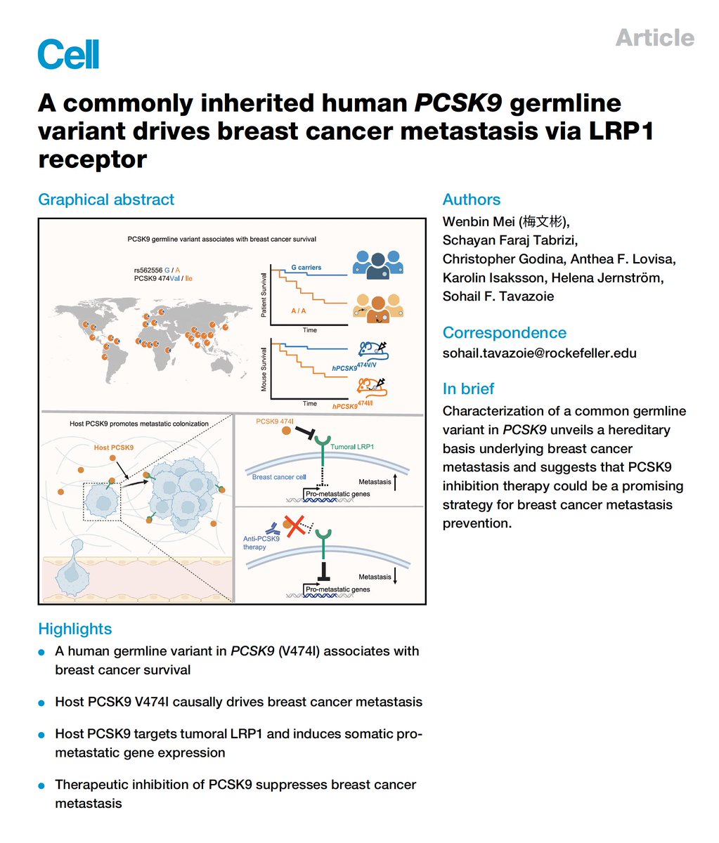 Wouldn't have guessed that a PCSK9 blocker (used for LDL cholesterol lowering) might someday be indicated to prevent breast cancer in individuals with a common genomic variant
cell.com/cell/fulltext/…