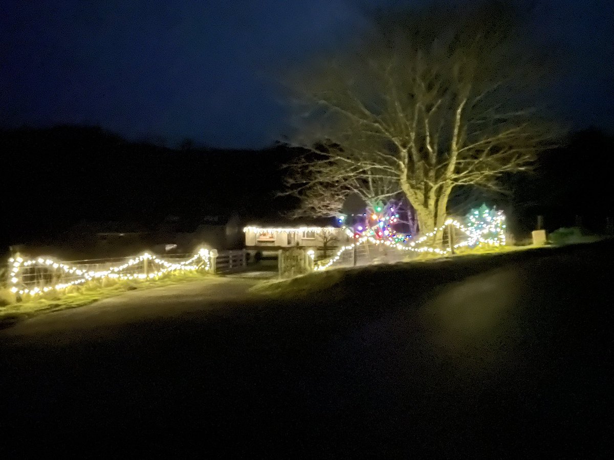 CillMhoire's tweet photo. The lights are up so seasons greeting to all. 
#hogmanay2024
#bookings2025
A warm welcome to guests old and new https://t.co/lJlh0qBfp8