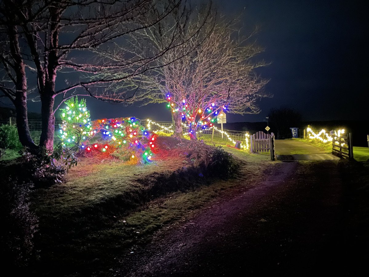CillMhoire's tweet photo. The lights are up so seasons greeting to all. 
#hogmanay2024
#bookings2025
A warm welcome to guests old and new https://t.co/lJlh0qBfp8