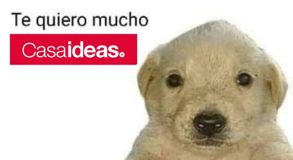 En CasaIdeas de Mall Plaza Egaña tienen un anfitrión con leve retardo intelectual y hace su labor excelente.
Qué otra gran empresa en Chile da esas oportunidades?