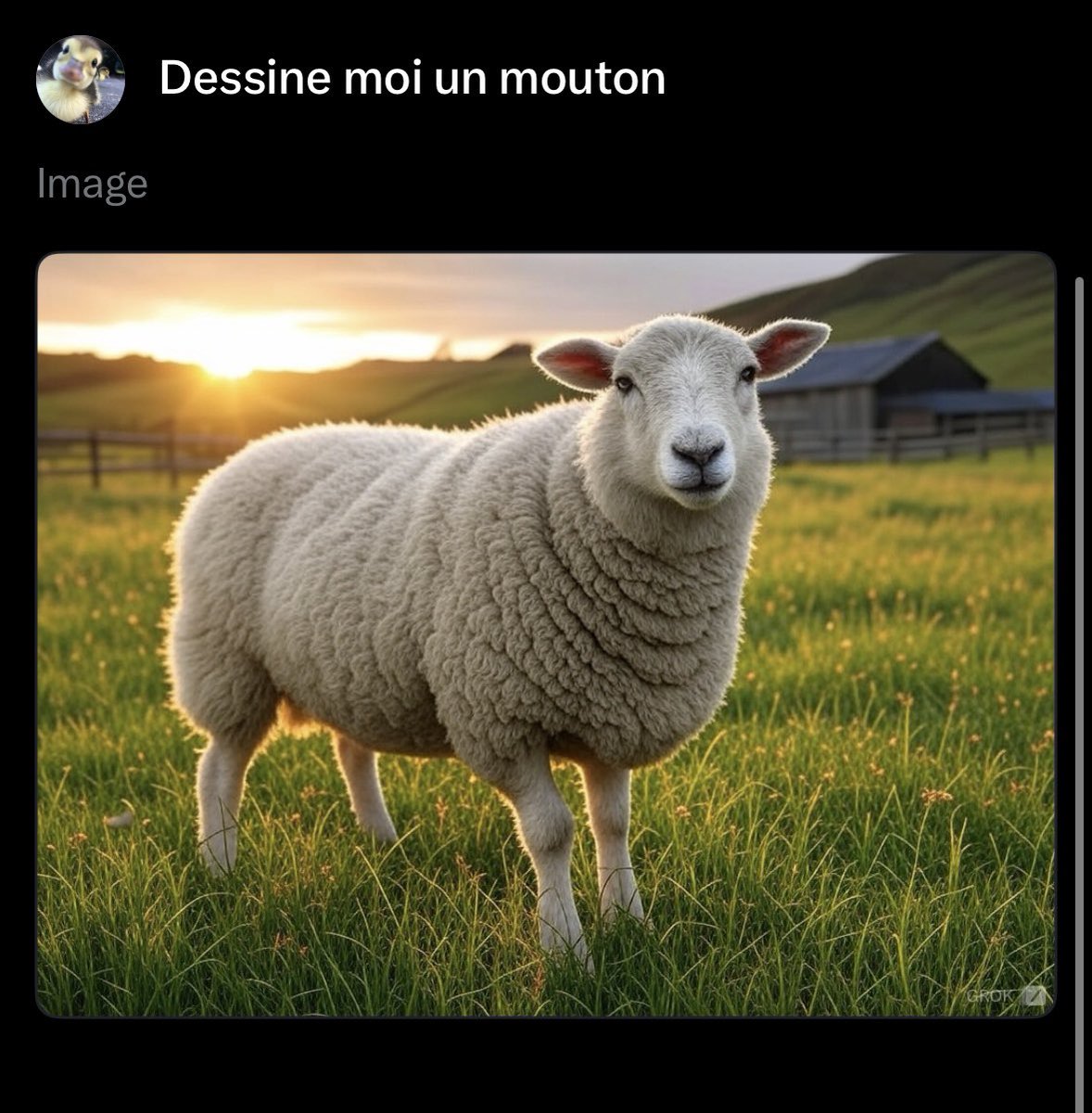 Salut_cv_oui's tweet photo. Tsais le petit prince https://t.co/aNPItDykdz