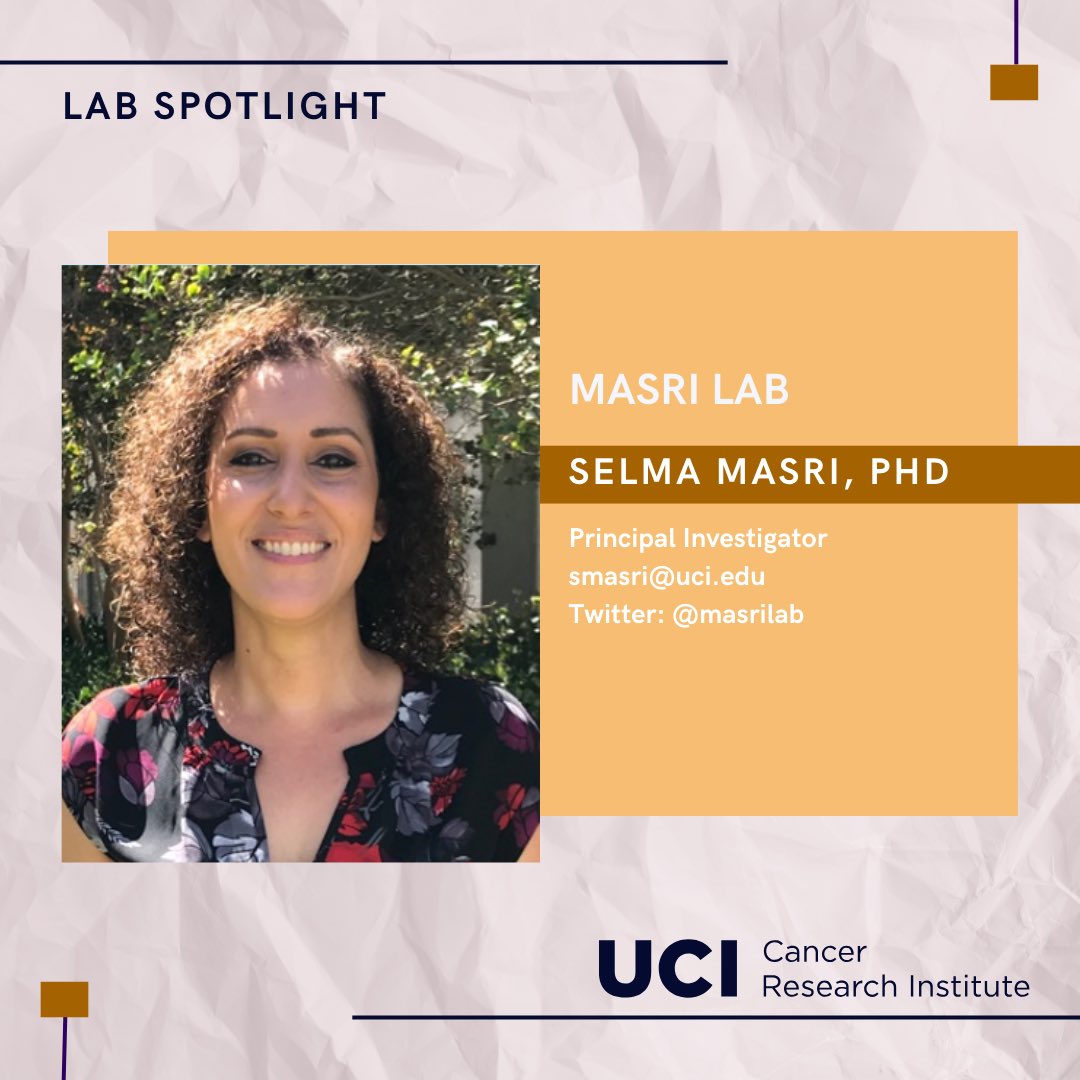 UCI_CRI's tweet photo. Shout-out to the Masri Lab at the
UCI Cancer Research Institute!

Led by Dr. Selma Masri, this lab investigates how disruptions in circadian rhythms contribute to tumor initiation and progression.

Stay tuned to learn more about their research and impacts!🔬 https://t.co/CYWNoww7NX