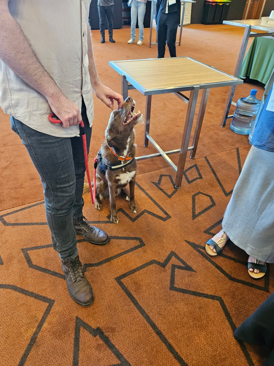 Dogs are an ecologist's best friend 🐶 Not only was there a symposium on using detection dogs in ecological research at #ESAus2024, our sponsors The Nature Advisory brought along a pup to the poster session 🥹