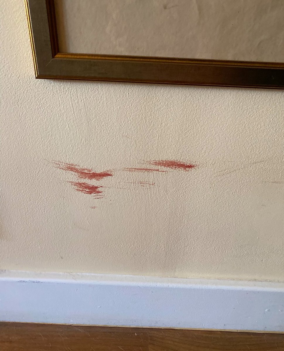 Oh wow I just realized these deep cleaning ladies I hired a few weeks ago actually cleaned very old blood stains off the walls I think from a show we played with Sunrot maybe