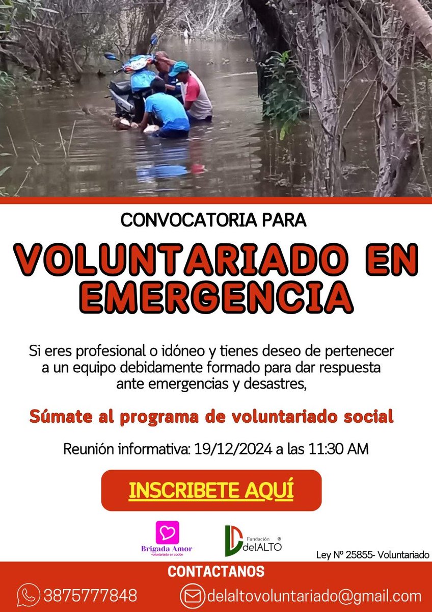 Fundación delALTO tweet media