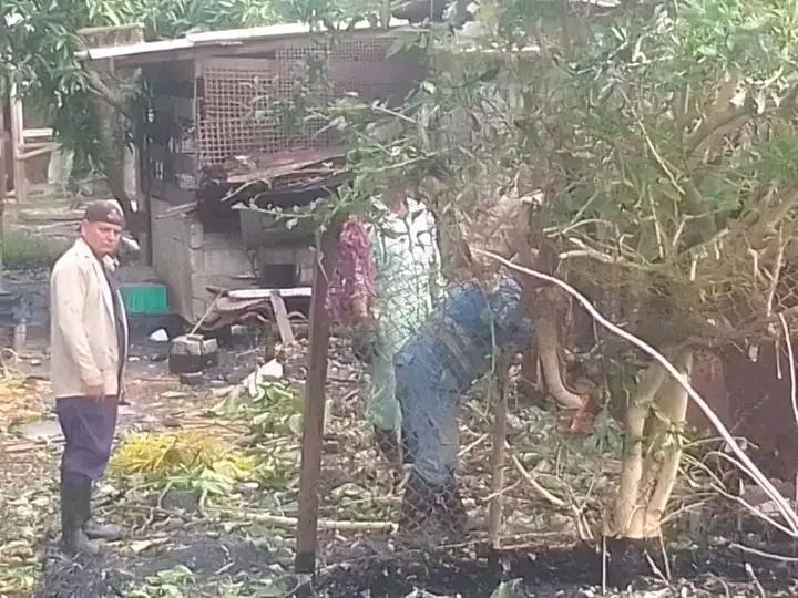 Enfrentando difíciles condiciones los petroleros de la <a href="/RefSergioSoto/">Refinería de petróleo Sergio Soto</a> continúan desarrollando tareas de saneamiento en áreas afectadas por el derrame de crudo producto del choque de trenes el pasado sábado.

#TrabajadoresVanguardias
#PetrolerosPorCuba
#Cabaiguán
#Cuba