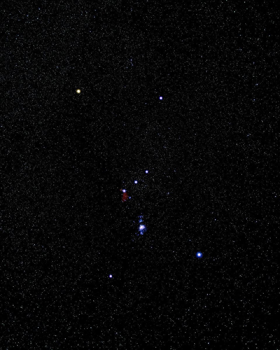 Orion