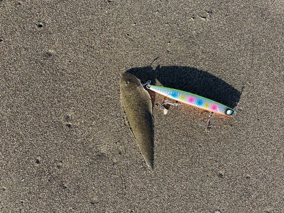 こんなんばかり😭