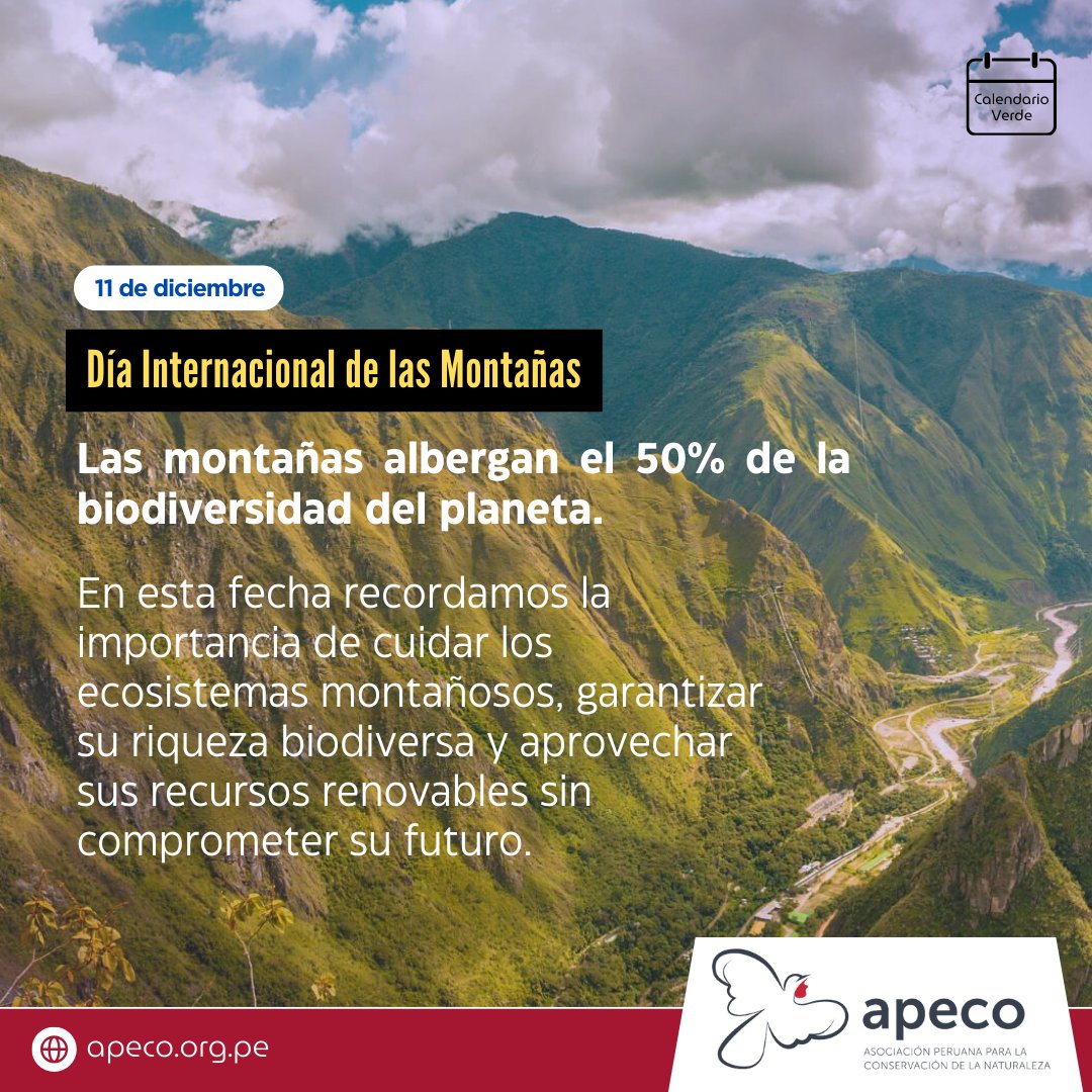 🏔️Hoy celebramos la majestuosidad y la importancia de las montañas, fuentes de vida y guardianas de nuestra biodiversidad. 🌧️🗻
🌳En la Amazonía andina son fundamentales para el agua, los ecosistemas y la seguridad alimentaria de millones de peruanos/as.🌄