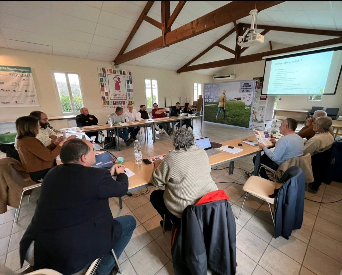 marques_fx33's tweet image. Présent au dernier Conseil d'Administration d'@Interbev_NA de l'année. Merci à tous les acteurs engagés pour notre filière ! Continuons à valoriser l'élevage et les productions locales. #Interbev #NouvelleAquitaine #FilièreElevage