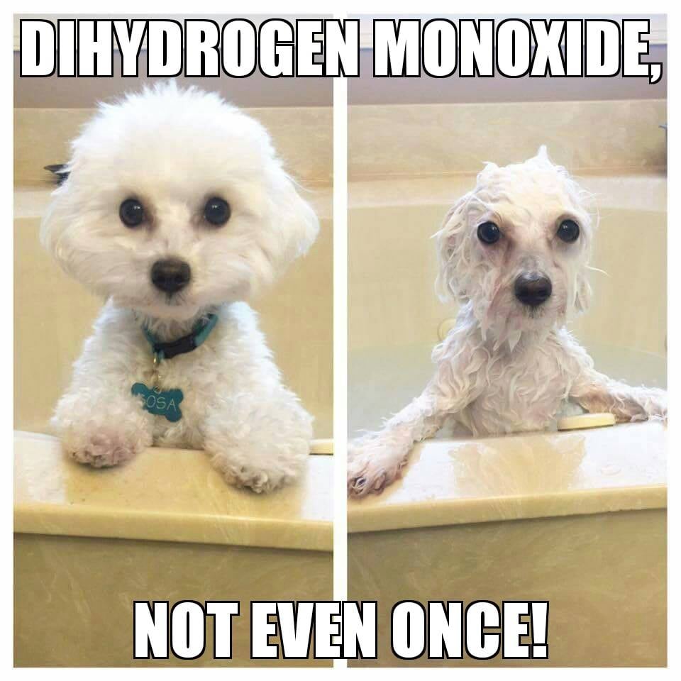 Who would do such a thing!?