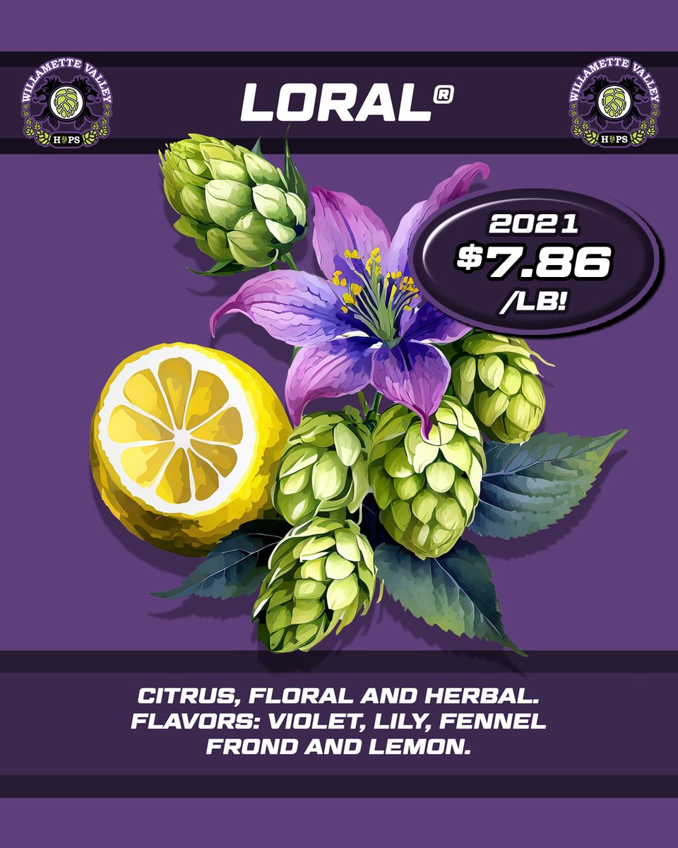 WVHops's tweet photo. 2021 Loral T90 - $7.86/lb! In stock and ready to ship. Contact your Territory Manager or purchase on Lupulin Exchange:
https://t.co/CFL5vXNjwV https://t.co/DNSYnTOvEC
