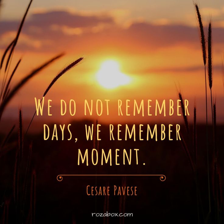 When you do something noble and beautiful and nobody noticed, do not be sad. For the sun every morning is a beautiful spectacle and yet most of the audience still sleeps.