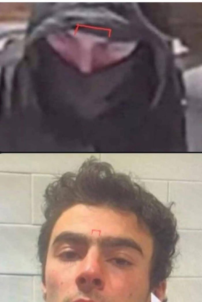 Photo of UnitedHealthcare CEO Shooter and Luigi Mangione’s mugshot.

They think we’re stupid.