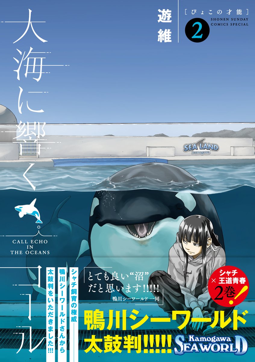 12月12日に発売される注目商品を2つご紹介！ ①鴨川シーワールド