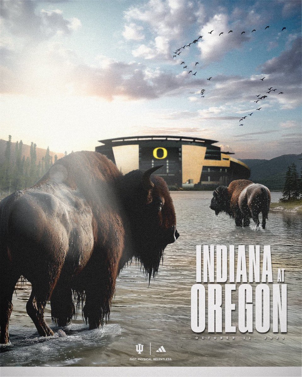 DidIndianaW's tweet photo. Not being subtle anymore. The Bison is coming back, folks. #NeverDaunted https://t.co/T90yhl9ejq