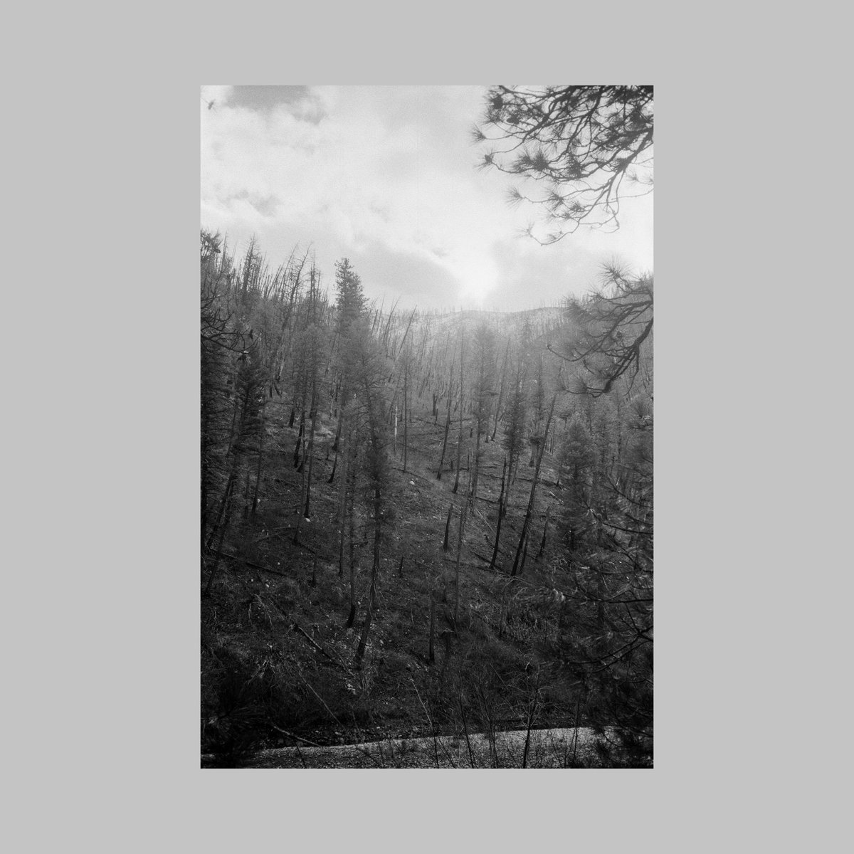 sean flanigan tweet media