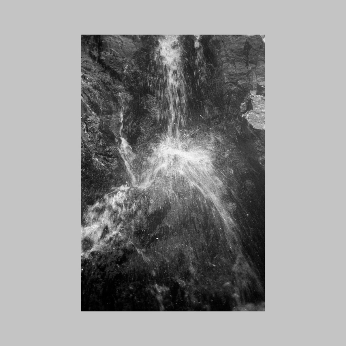 sean flanigan tweet media