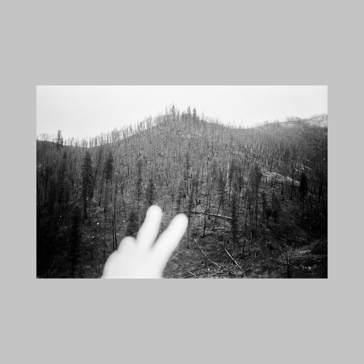 sean flanigan tweet media