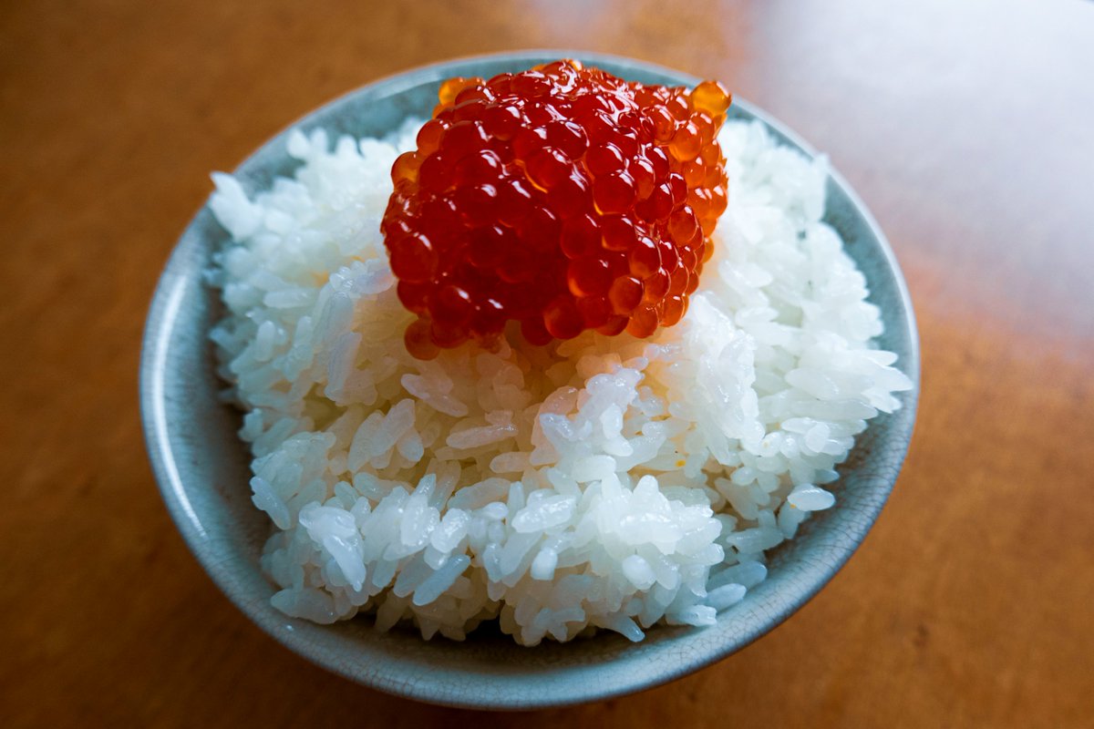 okamurashokuhin's tweet photo. いいですか、落ち着いて聞いて下さい。
年末年始においしいすじこを食べたければ、この週末までに注文するのです・・・
弊社ECで買ったすじこは、解凍から14日間美味しく食べられるから、今買えば一番いいタイミングで届くのです・・・
https://t.co/SMy6t5CMRp
#すんずこ　#サーモン　#養殖 https://t.co/XT4etojwV8