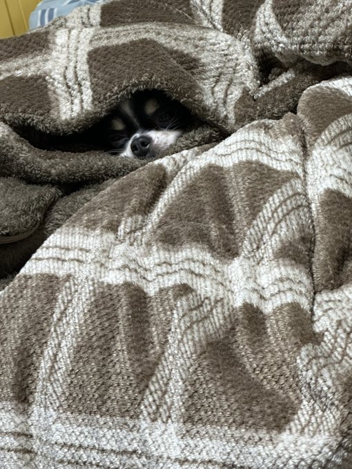 Twitterのコスプレ画像24