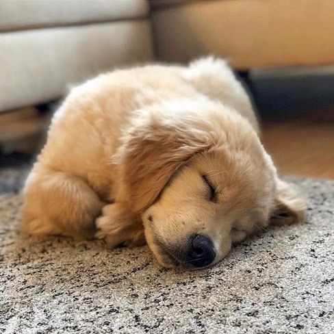 Adorable mood🥰🥰