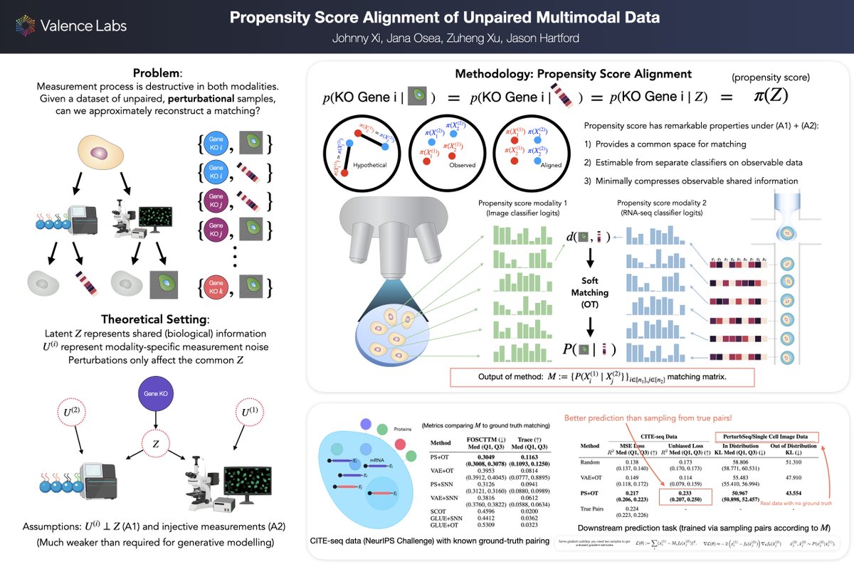 I have a poster Thursday morning on aligning unpaired perturbational multimodal data at #NeurIPS2024 East Exhibit Hall A-C #1000

<a href="/jasonhartford/">Jason Hartford</a> also has a PhD ad to follow up on this project: findaphd.com/phds/project/u… 

Come talk to us if it seems of interest! cc: <a href="/ZuhDav/">ZuH_dav</a>