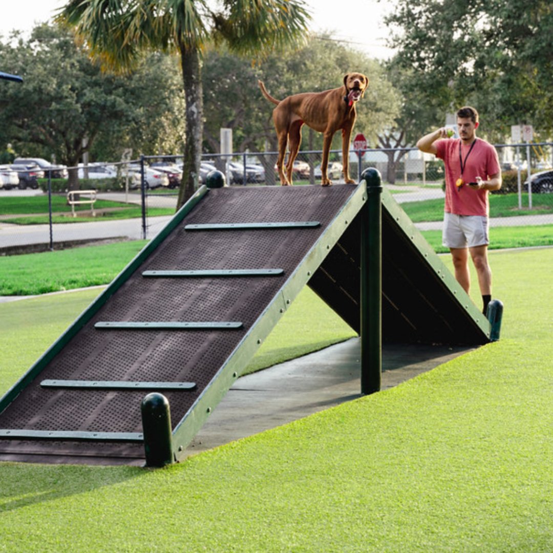 Tired of muddy paws and smelly yards? K9Grass by ForeverLawn is the perfect solution. It’s durable, pet friendly turf with superior drainage and antimicrobial protection.  This season only, save up to $1,500! Call (360) 455-9500 or visit ForeverLawnPS.com/get-started for a FREE  quote.