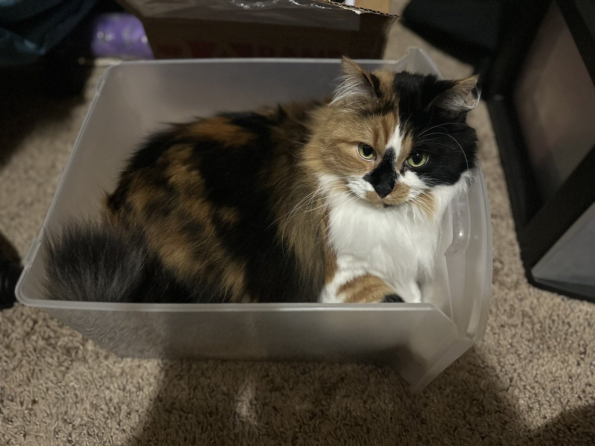 DO U MIND IM TRYING TO CLEAN MY DRAWER OUT