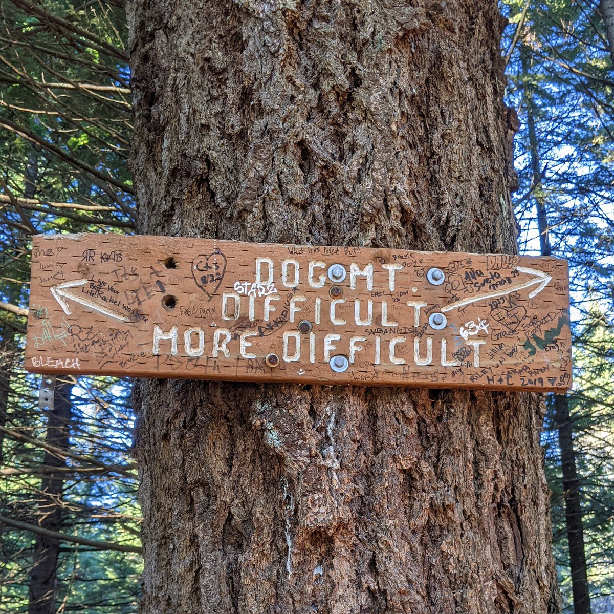 dpolehn's tweet image. You come across this sign on the trail.

Which path are you choosing and why?