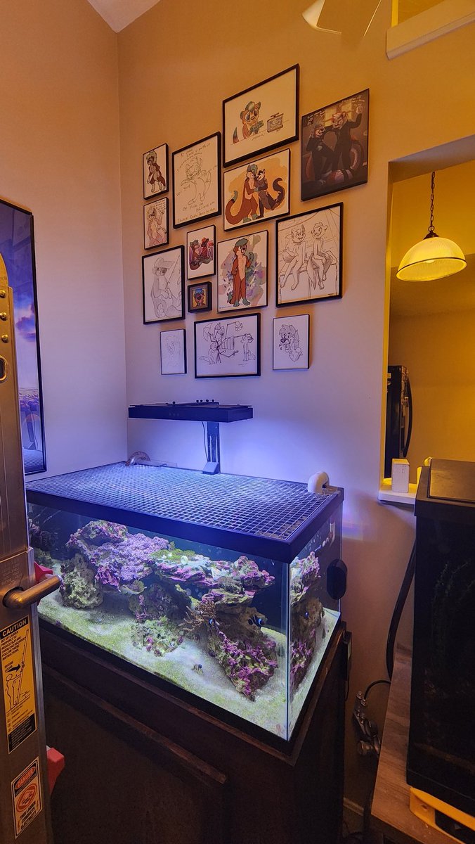 OtterDestruction 🦦🐟 (@marrokmaddox) on Twitter photo New art on the aquarium wall by <a href="/OhYouMLW/">Sentient Dryer Lint - Furry Migration 2025 GoH!!!</a>. No, you can't buy my art from artist alley at MFF. New art on the aquarium wall by <a href="/OhYouMLW/">Sentient Dryer Lint - Furry Migration 2025 GoH!!!</a>. No, you can't buy my art from artist alley at MFF.