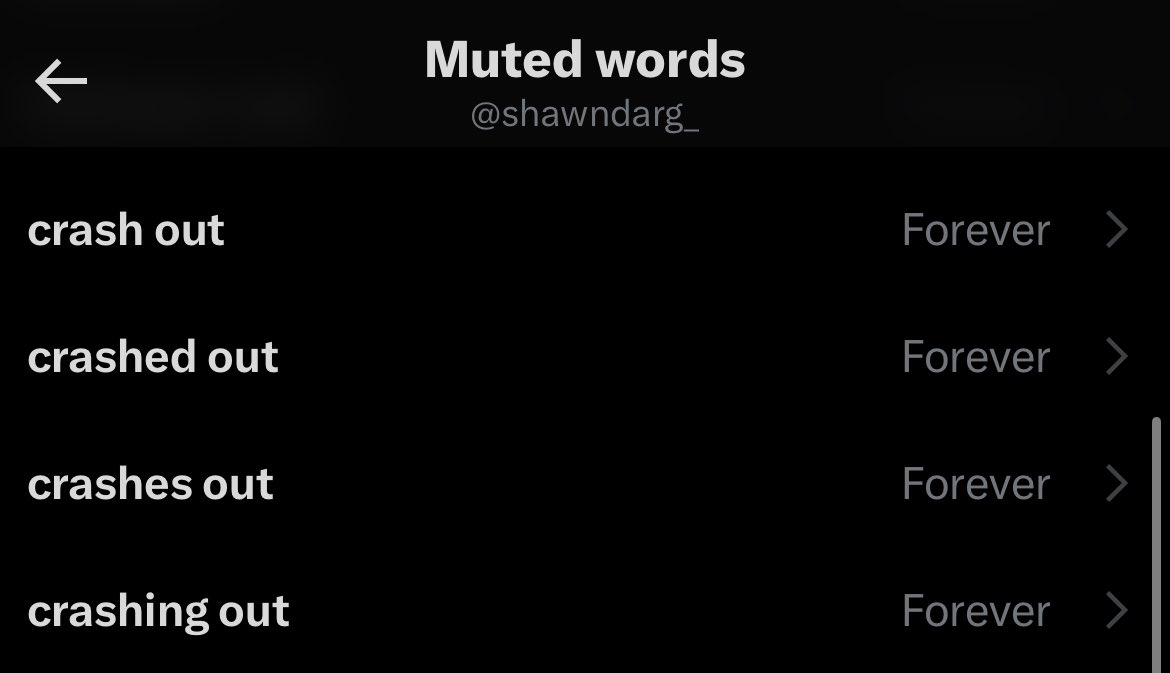 shawn d tweet media