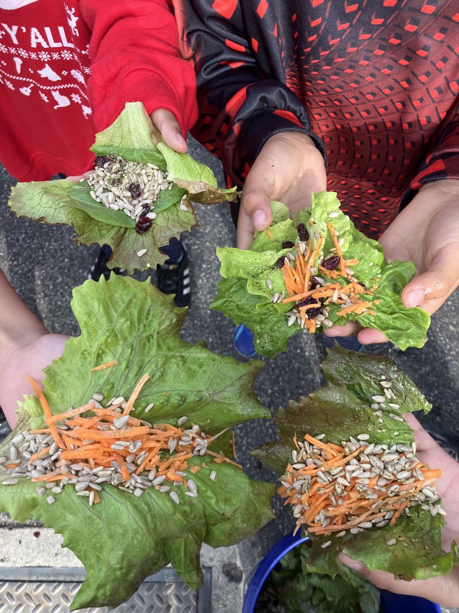 Ground Education tweet media