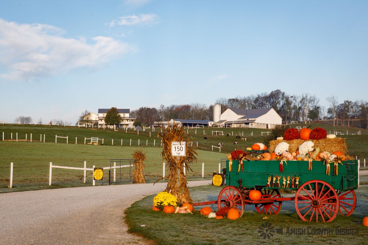 Another beautiful fall display.
#amishcountryinsider #amishcountry #amish