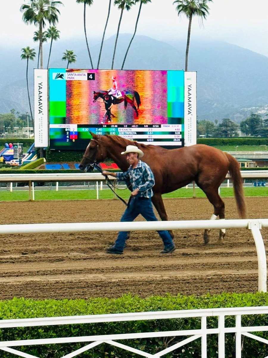 tylarszn's tweet photo. The rider and the horse become one, holding the reins tightly in their hands, and every pull is a communication with the horse's heart https://t.co/R3HfFcWorJ