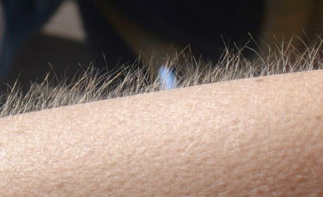 alexisromloz's tweet image. #MaskSingerFinal Mosca cuando se ha quitado la máscara y en efecto era Abraham Mateo.