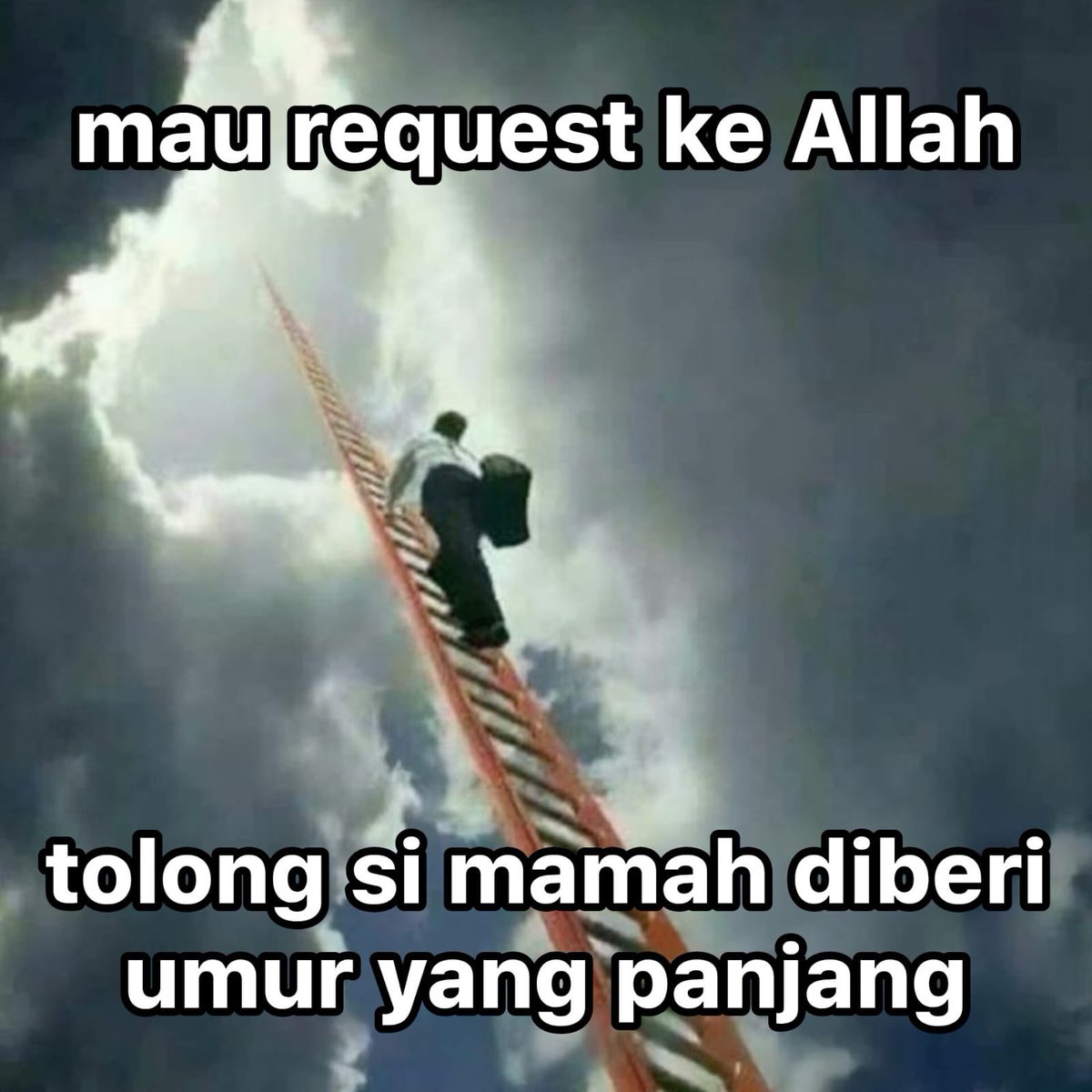 sajaksadgirl's tweet image. 