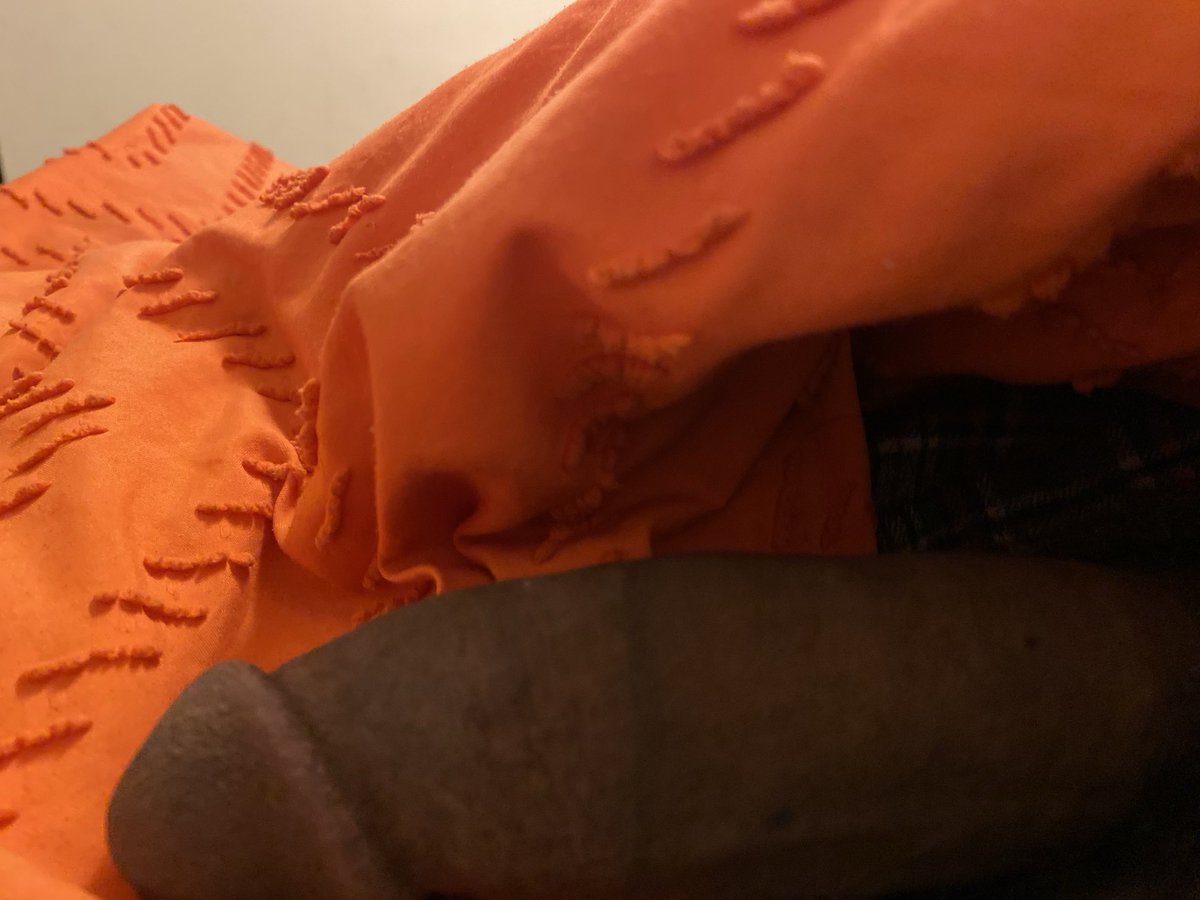 Vitobjr_2676's tweet photo. He wanna play hide and seek https://t.co/ZIeOHbkSDz