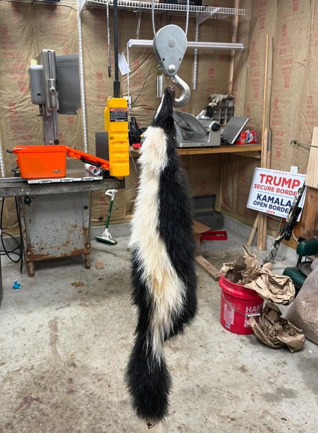 NHCART's tweet photo. There are no animals that escape trappers. Even skunks get tortured. Traps are indiscriminate and the trappers just kill any animal they trap. This is from a New Hampshire trapper. 
#TheConservationLie #CompassionOverKilling #BanTrapping #Coexist https://t.co/OYbtl6x5cr