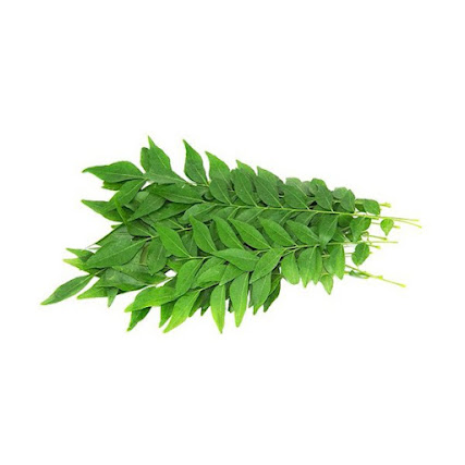 sipsalablog's tweet photo. Exploring the Culinary and Medicinal Benefits of the Curry Tree

https://t.co/68WwIVINEk https://t.co/XwmGrf5JRO
