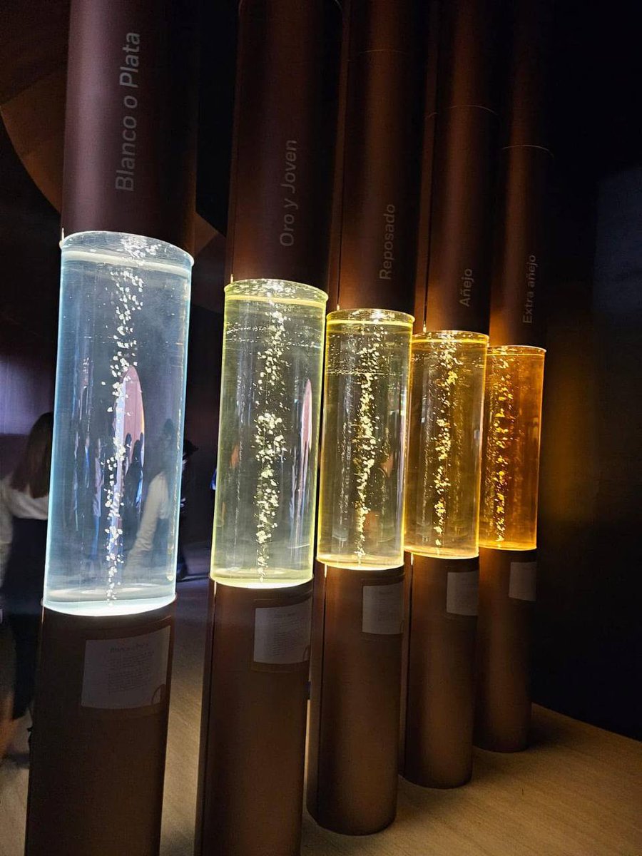 PedroMtzPonce's tweet photo. El tequila no solo es una bebida, es nuestra historia, nuestra esencia y un símbolo de identidad que representa a Jalisco en el mundo. 🌎🌵
#TequilaLab es un espacio único donde tradición e innovación se encuentran para contar la historia del tequila y explorar el futuro de esta industria que nos llena de orgullo. ¡Una experiencia