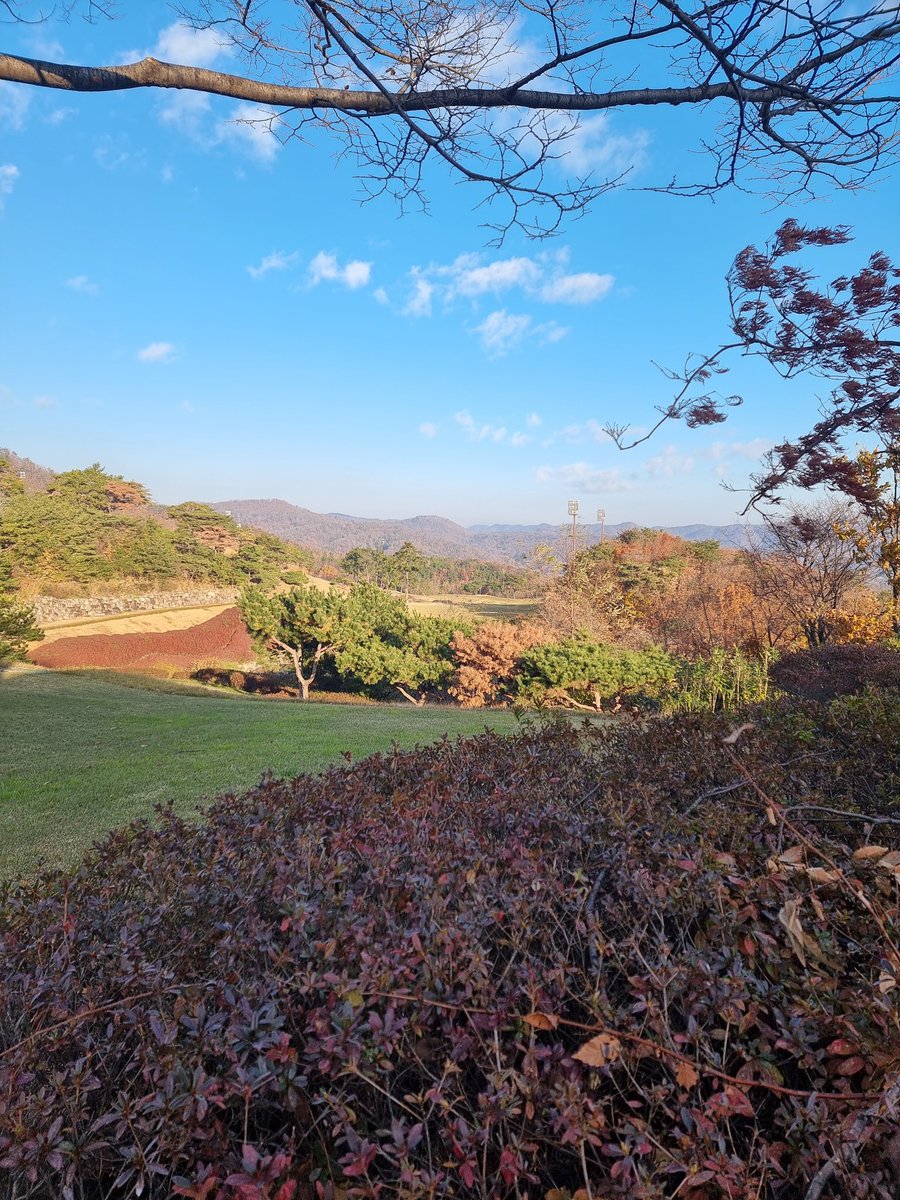 바람도 많이불고 춥고..
오늘 이겨서 초대 쿠폰획득 해야는데..