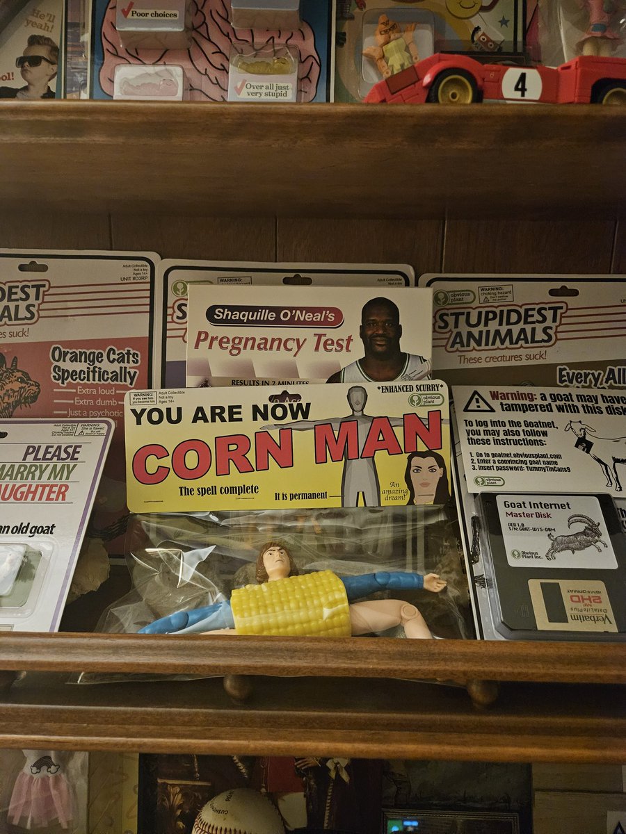 TheObvious1 tweet media