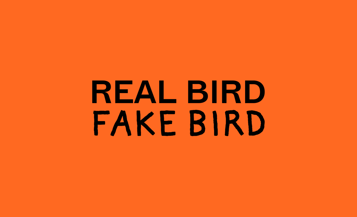 folly_studio's tweet image. A little detail we love about Real Bird Fake Bird is that all three of the fonts used were made in Melbourne, Victoria (Naarm). There are so many fonts in the world, it feels special to use ones made down the street by typographers we love.