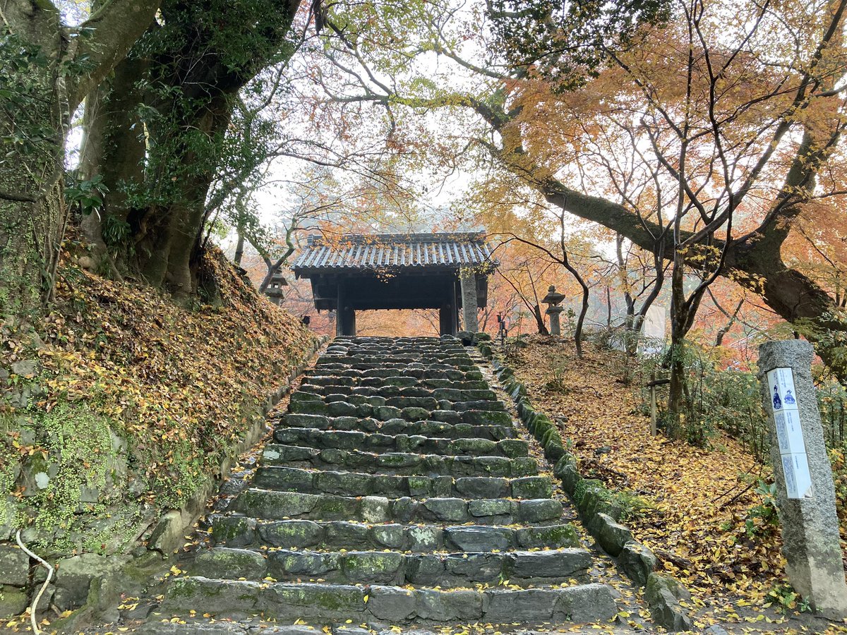 amagiasakura's tweet photo. 【#紅葉 情報🍁】#秋月城跡 黒門の紅葉は落葉が進んでいます。まだ紅葉の絨毯と一緒にお楽しみいただけます☺️
※写真は2024.12.12朝撮影。
#秋月 #朝倉市 #福岡 #あさくらいふ #水もしたたるいいところ https://t.co/l8oIGLRHjs