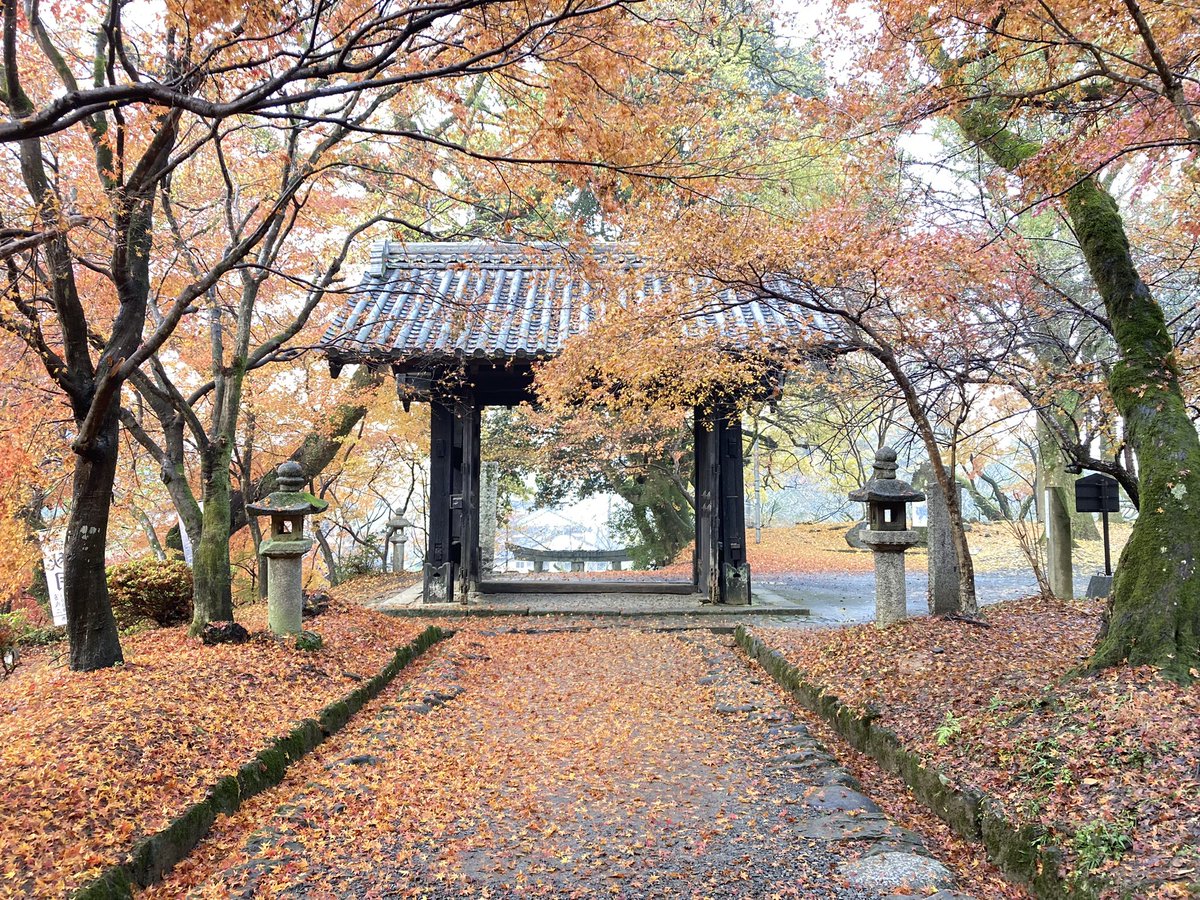 amagiasakura's tweet photo. 【#紅葉 情報🍁】#秋月城跡 黒門の紅葉は落葉が進んでいます。まだ紅葉の絨毯と一緒にお楽しみいただけます☺️
※写真は2024.12.12朝撮影。
#秋月 #朝倉市 #福岡 #あさくらいふ #水もしたたるいいところ https://t.co/l8oIGLRHjs