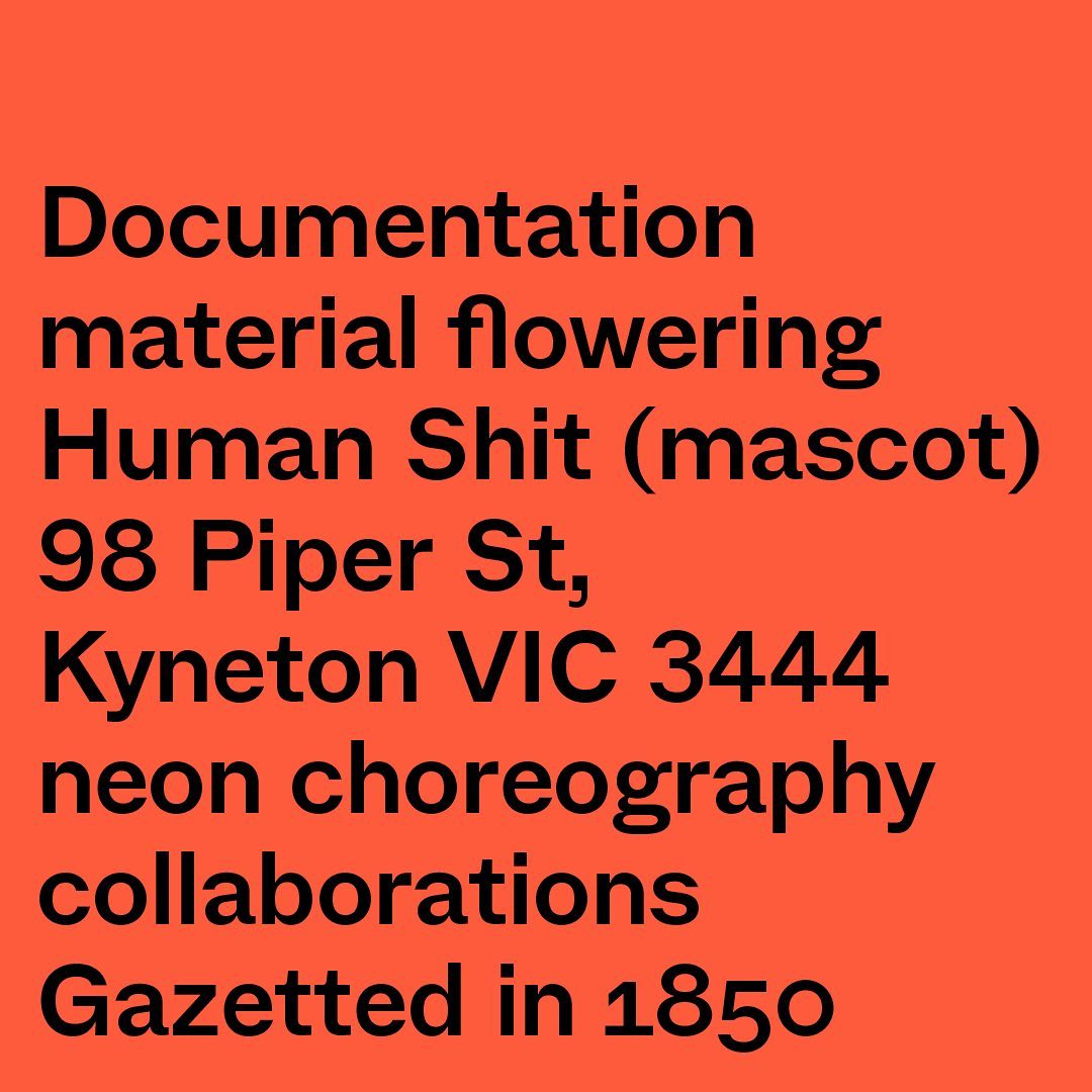 folly_studio's tweet image. A little detail we love about Real Bird Fake Bird is that all three of the fonts used were made in Melbourne, Victoria (Naarm). There are so many fonts in the world, it feels special to use ones made down the street by typographers we love.